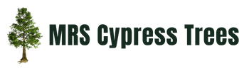 MRS Cypress Trees